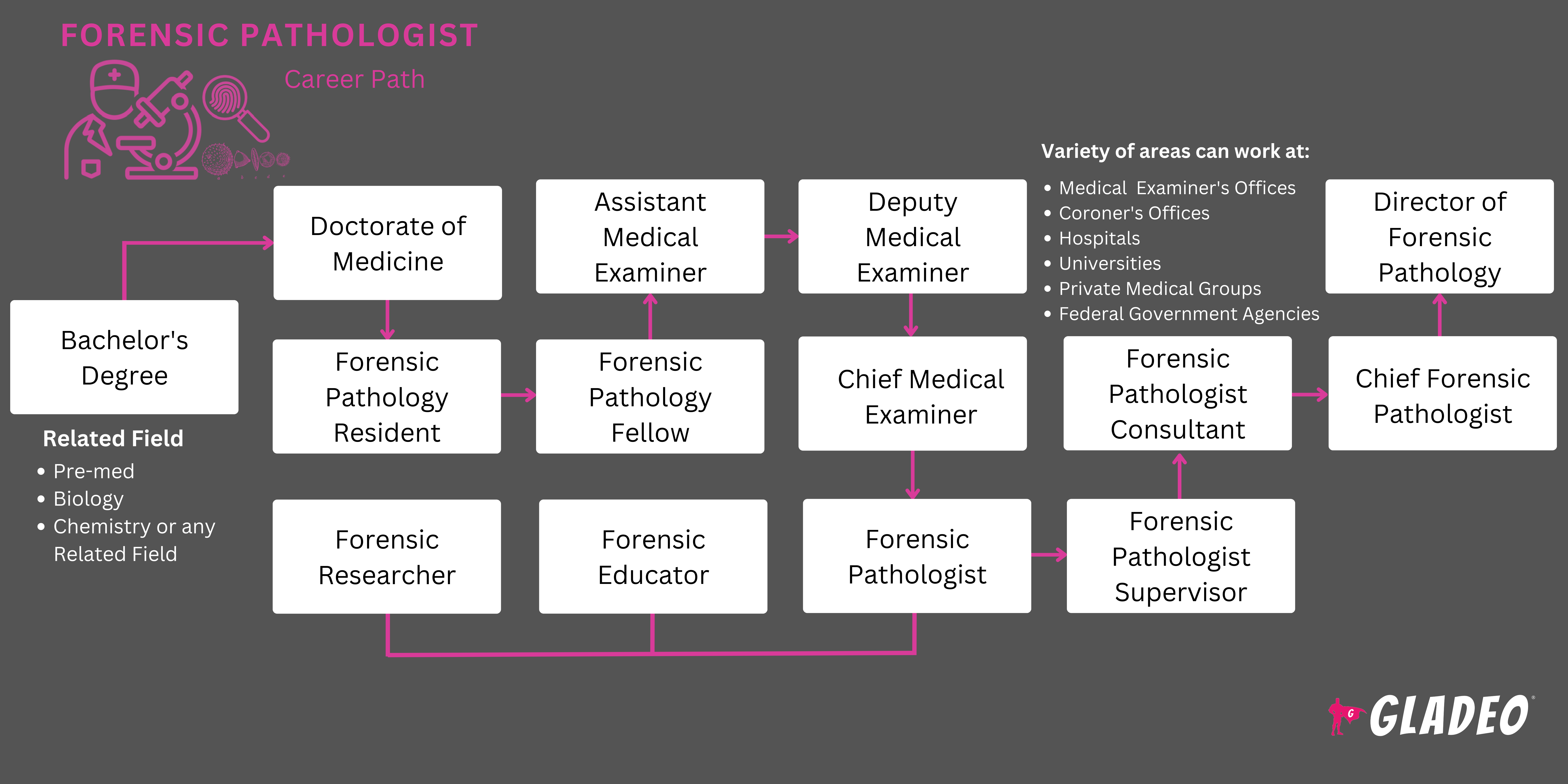 Forensic Pathologist Roadmap