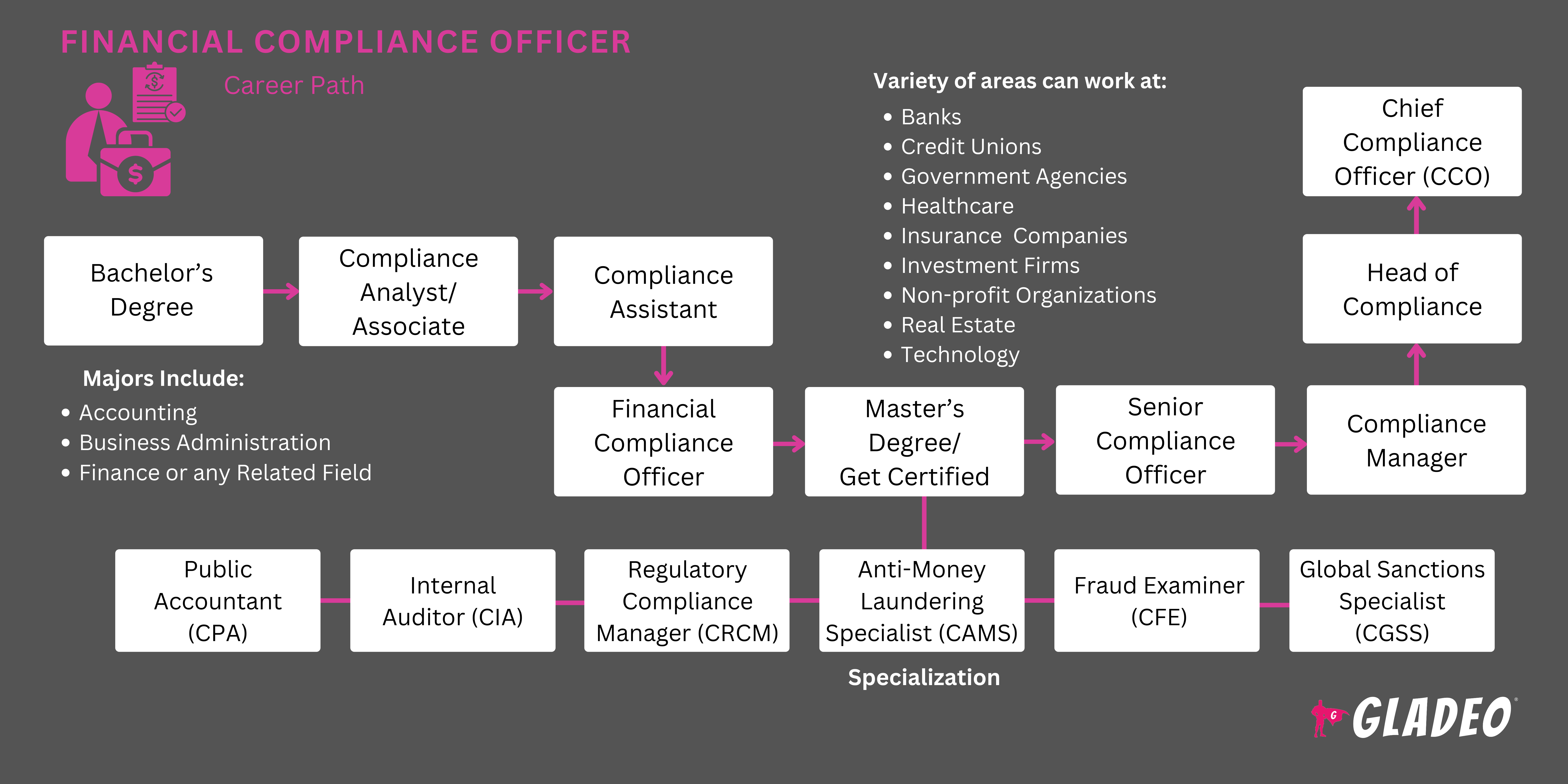 Financial Compliance Officer Roadmap